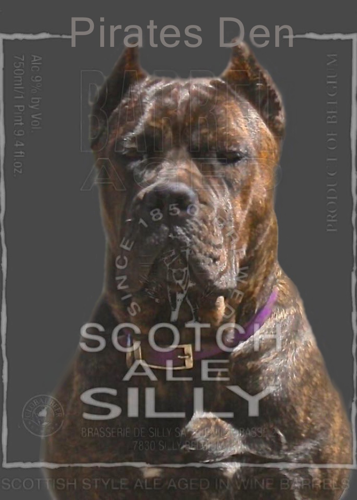 Cane Corso Female